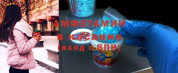 шишки Белоозёрский