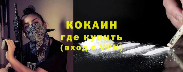 шишки Белоозёрский
