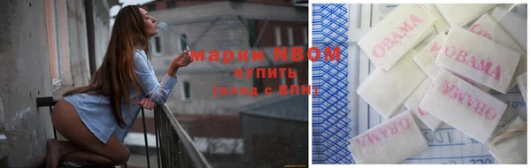 шишки Белоозёрский