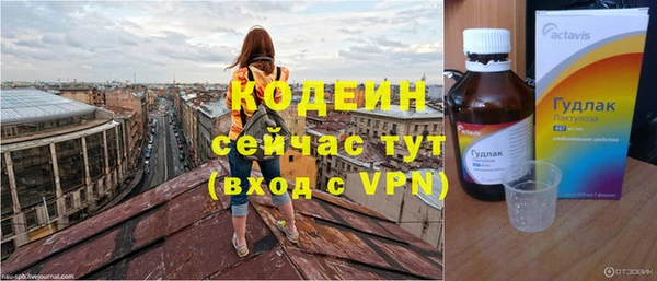 шишки Белоозёрский