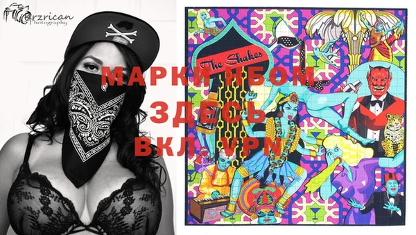шишки Белоозёрский
