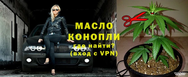 шишки Белоозёрский